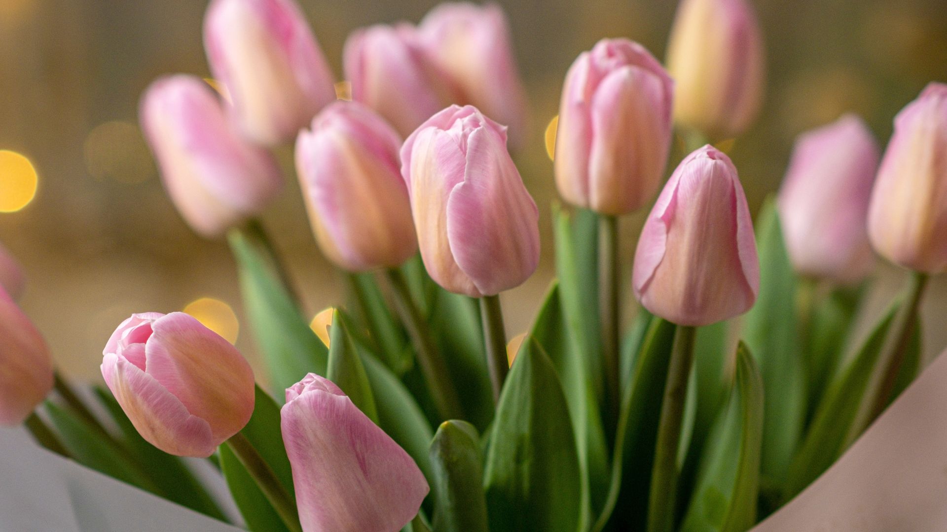 Fresh pink tulip bouquet